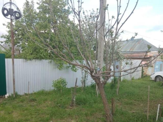 Дом продажа в Новотитаровская Ст-ца, Краснодарский Край