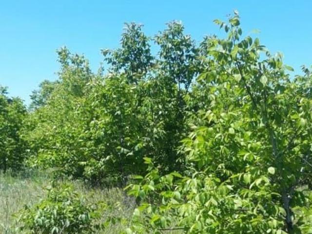 Дом продажа в Новотитаровская Ст-ца, Краснодарский Край