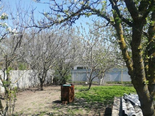 Дом продажа в Ольгинская Ст-ца, Краснодарский Край