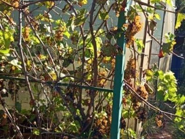 Дом продажа в Пластуновская Ст-ца, Краснодарский Край