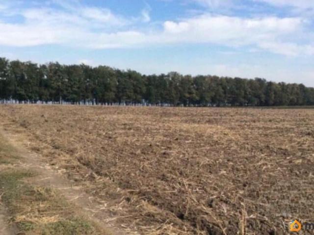 Дом продажа в Пластуновская Ст-ца, Краснодарский Край