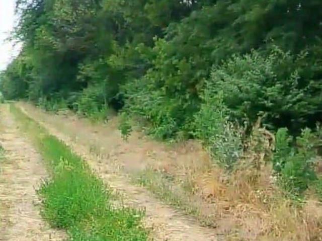 Дом продажа в Пластуновская, Динской район
