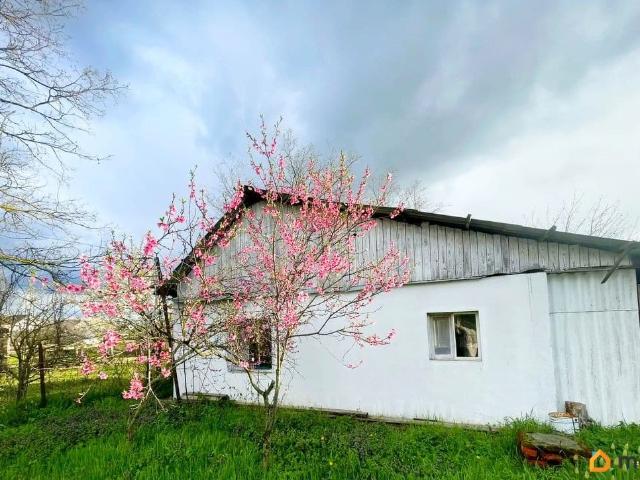 Дом продажа в Полтавская Ст-ца, Краснодарский Край