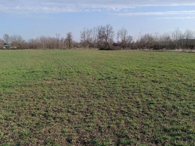 Дом продажа в Роговская Ст-ца, Краснодарский Край