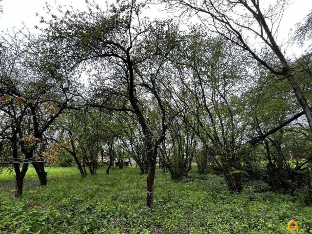 Дом продажа в Смоленская Ст-ца, Краснодарский Край