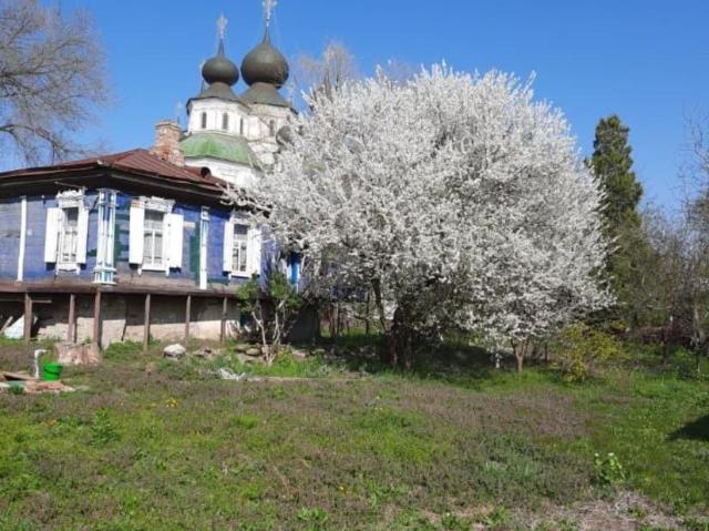Дом продажа в Старочеркасская Ст-ца, Ростовская область