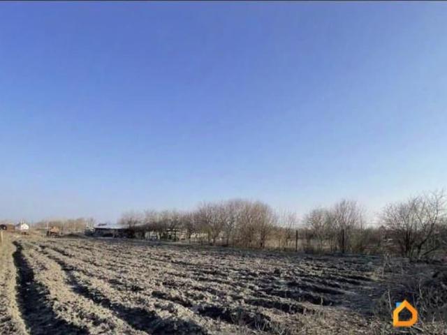 Дом продажа в Старочеркасская Ст-ца, Ростовская область