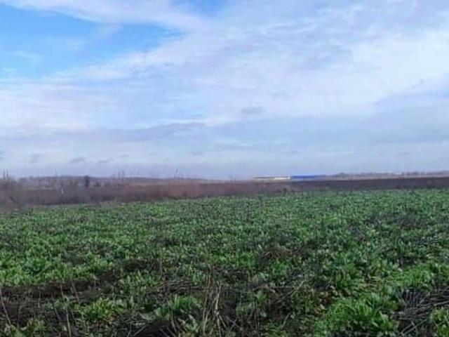 Дом продажа в Старочеркасская Ст-ца, Ростовская область