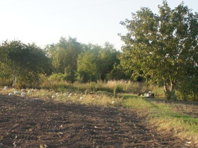 Дом продажа в Староминская Ст-ца, Краснодарский Край