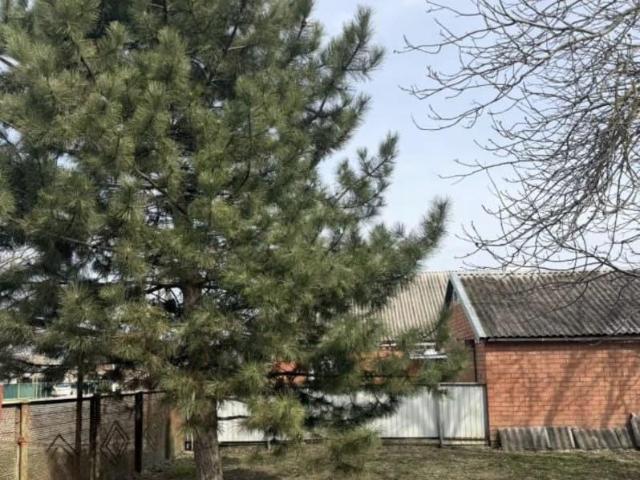 Дом продажа в Староминская Ст-ца, Краснодарский Край