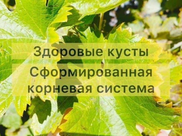 Дом продажа в Краснодарский Край