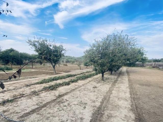 Дом продажа в Тамань Ст-ца, Краснодарский Край