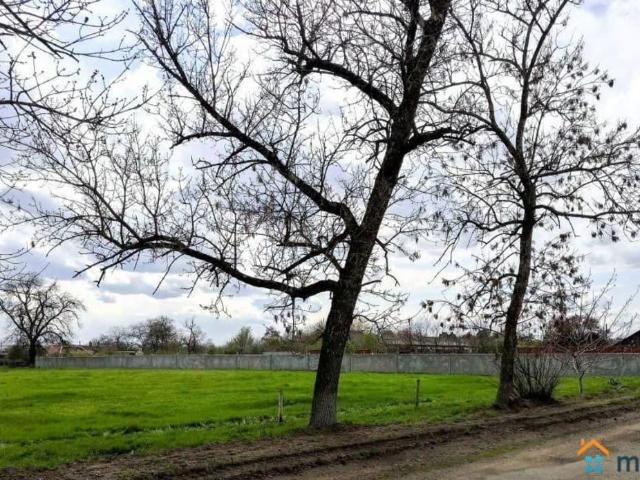 Дом продажа в Тбилисская Ст-ца, Краснодарский Край