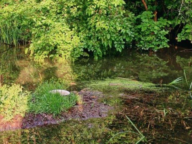 Дом продажа в Тверская Ст-ца, Краснодарский Край