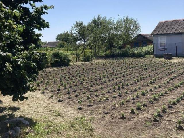 Дом продажа в Краснодарский Край