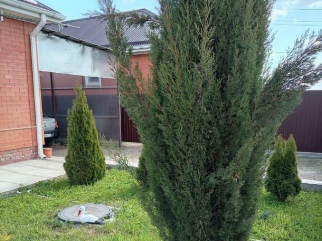 Дом продажа в Выселки Ст-ца, Краснодарский Край