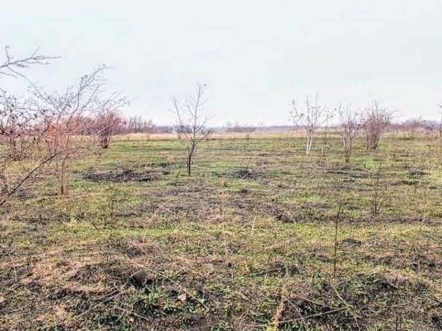 Дом продажа в Выселки Ст-ца, Краснодарский Край