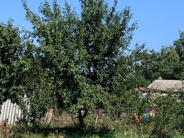 Дом продажа в Заплавская Ст-ца, Ростовская область