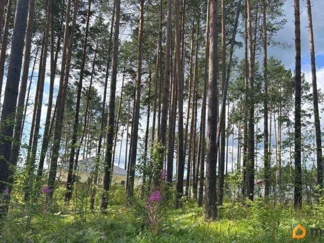 Дом продажа в Свердловская область