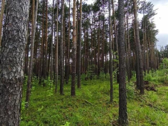 Дом продажа в Свердловская область