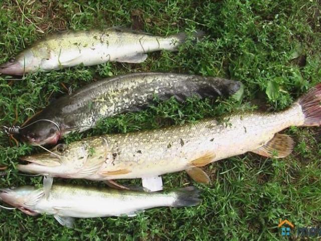Дом продажа в Калужская Обл