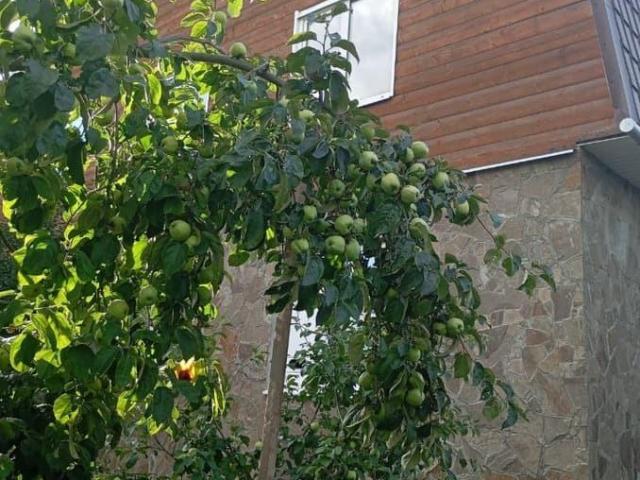 Дом продажа в Тула, Тульская область