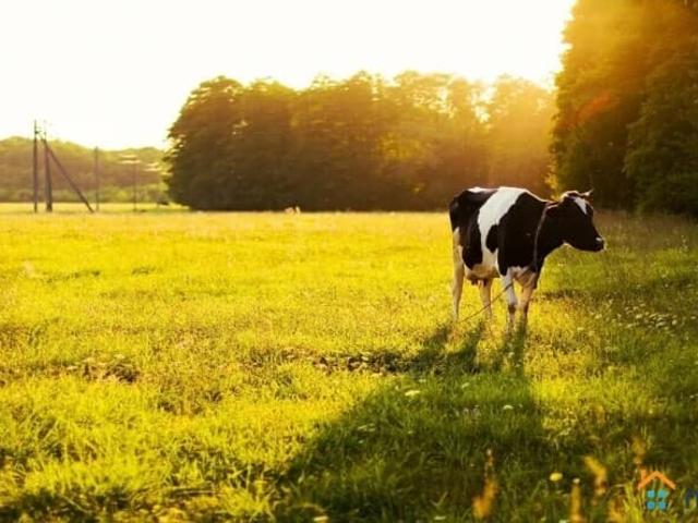 Дом продажа в Тверская область