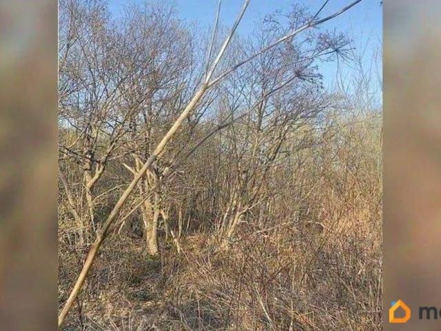 Дом продажа в Южно-сахалинск, Сахалинская область