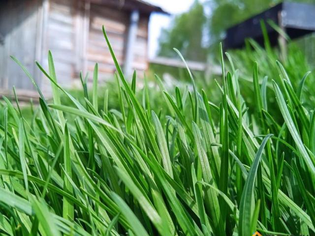 Дом продажа в Уярский Р-н, Красноярский Край
