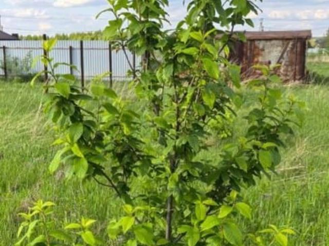 Дом продажа в Уфа, Башкортостан Респ