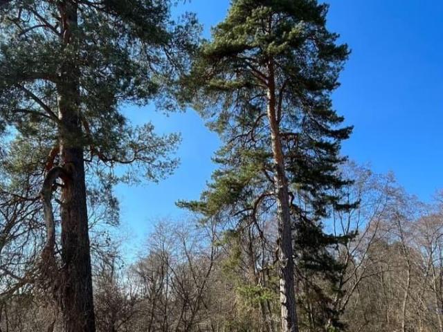 Дом продажа в Жуков, Калужская Обл