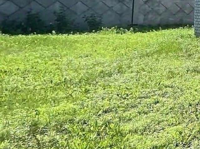 Дом продажа в Жуковка, Брянская область
