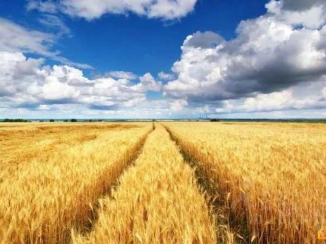 Дом продажа в Урюпинск, Волгоградская Обл