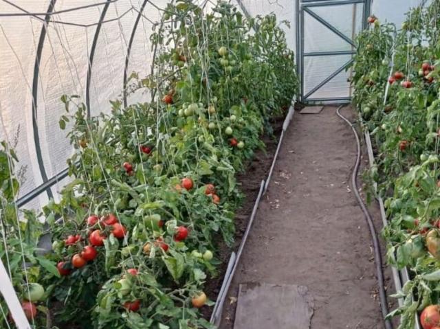Дом продажа в Усолье-сибирское, Иркутская область