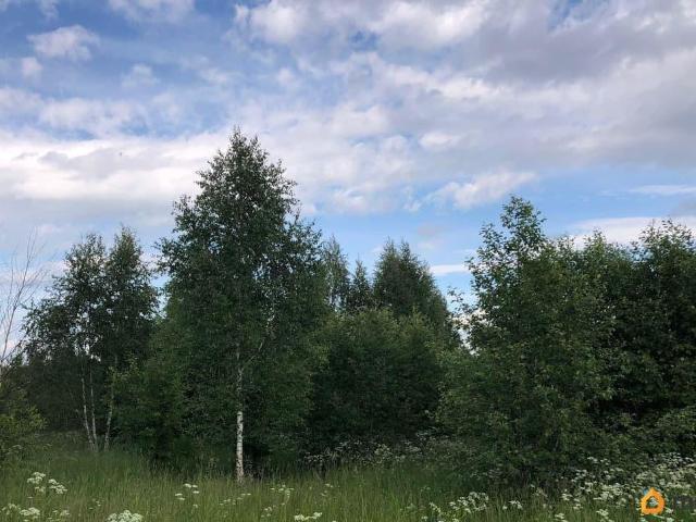 Дом продажа в Валдайский Р-н, Новгородская область