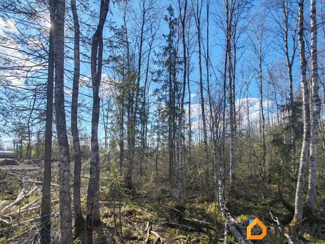 Дом продажа в Валдайский Р-н, Новгородская область
