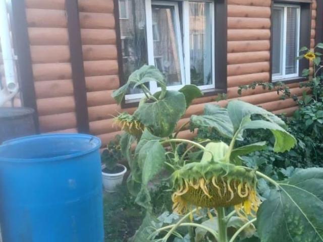 Дом продажа в Кировская область