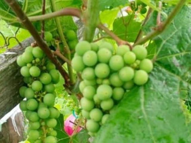 Дом продажа в Смоленская область