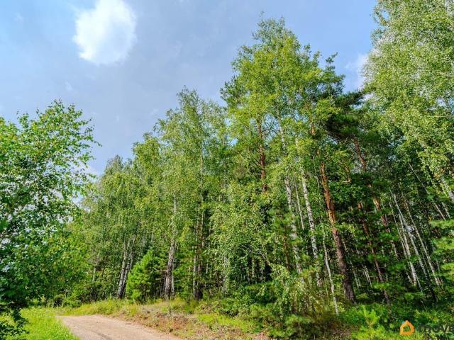 Дом продажа в Свердловская область