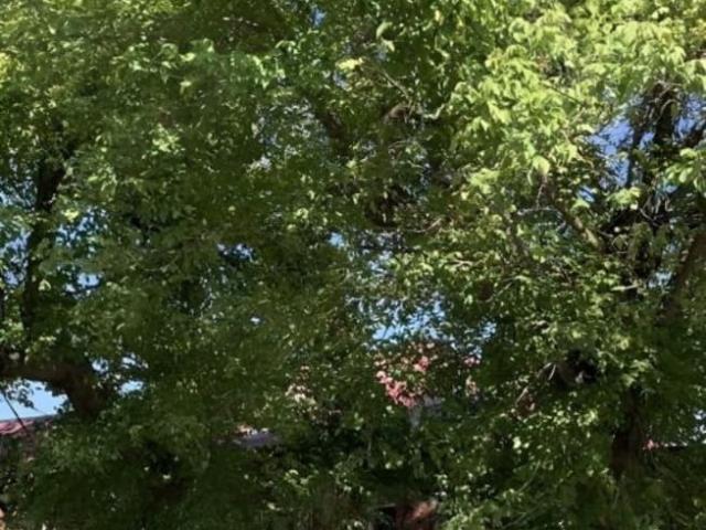 Дом продажа в Владикавказ