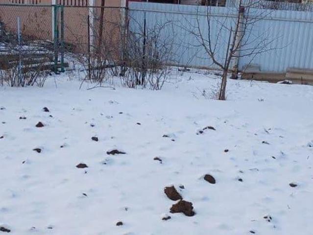 Дом продажа в Ростовская область