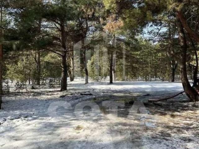 Дом продажа в Воронеж, Воронежская область