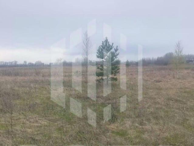 Дом продажа в Воронежская область