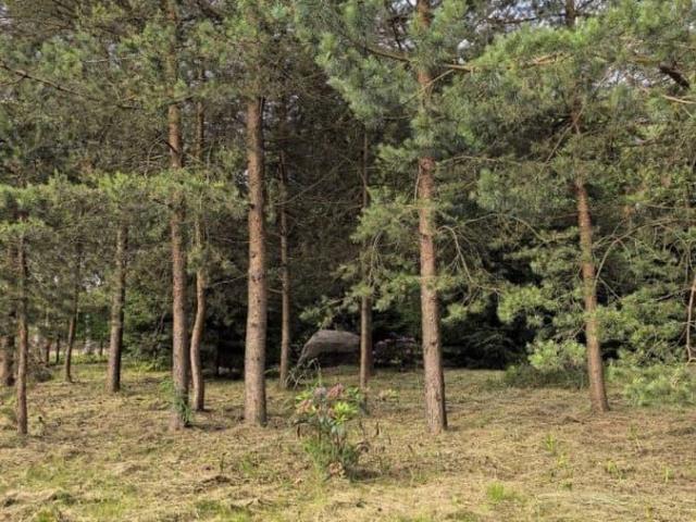 Дом продажа в Всеволожск, Ленинградская область