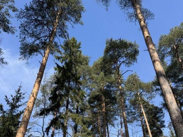 Дом продажа в Всеволожск, Ленинградская область