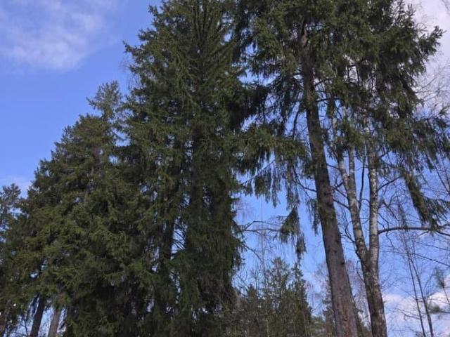 Дом продажа в Всеволожск, Ленинградская область