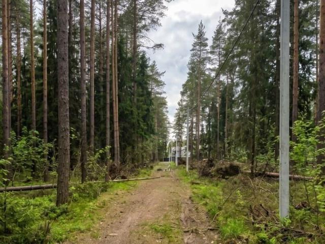 Дом продажа в Всеволожск, Ленинградская область