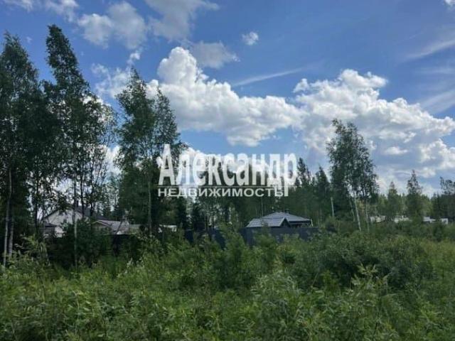 Дом продажа в Ленинградская область