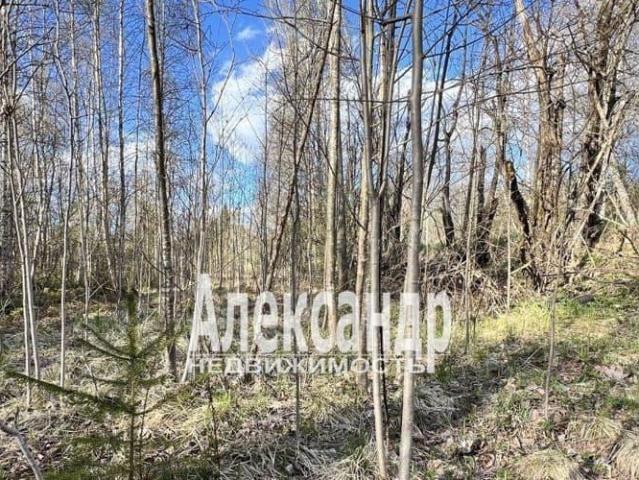 Дом продажа в Выборг, Ленинградская область