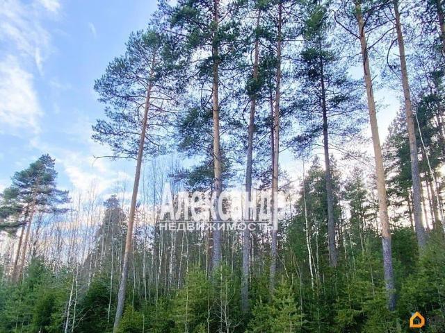 Дом продажа в Выборг, Ленинградская область